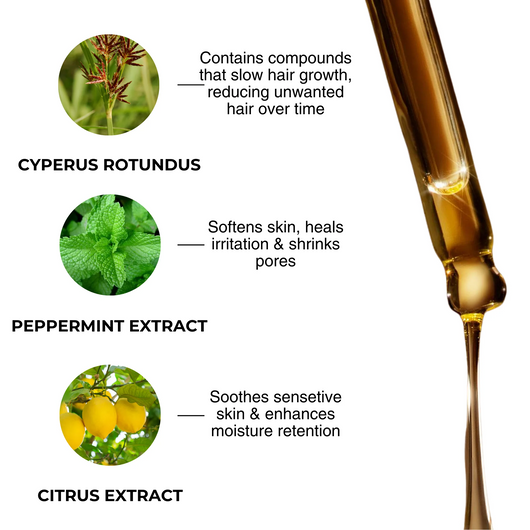 Glowze Cyperus Fade Oil